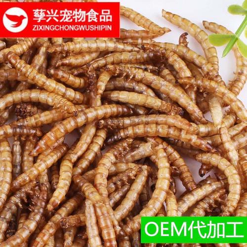 包邮厂家黄粉虫干面包虫干优质宠物食品批发1kg